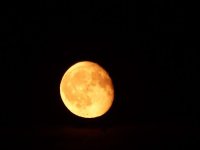 30 juli 2018 2 tage nach vollmond.jpg