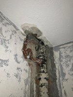 IMG_1898.jpeg