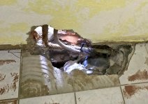 IMG_1901.jpeg