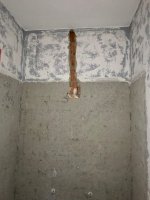 IMG_1872.jpeg