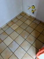 IMG_2086.jpeg