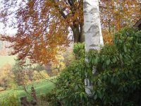 9.11.2018-herbst-2.jpg