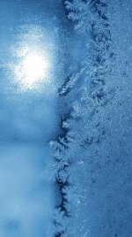 eisblumen-2018-1.jpg