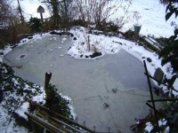 16.12.2018-4.jpg