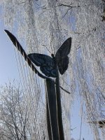 winter-11.jpg