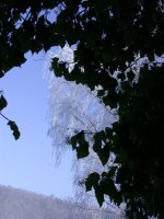 winter-03.jpg