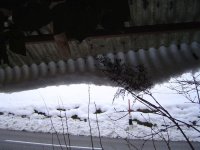 Schnee-7.1.2019-1.jpg