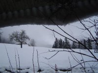 Schnee-7.1.2019-2.jpg