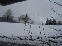 Schnee-7.1.2019-3.jpg