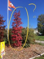 thumbnail_IMG_5438.jpg