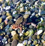 IMG_1359.jpeg