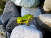 IMG_1004.jpeg