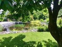 IMG_0892.jpeg