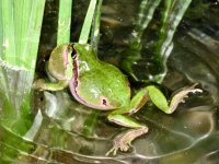 IMG_0781.jpeg