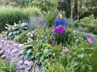 IMG_1356.jpeg