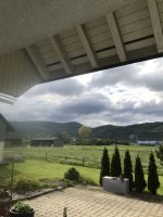 IMG_5136.jpg