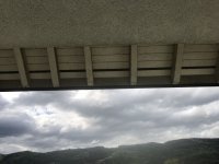IMG_5138.jpg