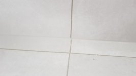20190610_114559.jpg