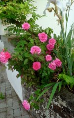 IMG_8729.jpeg