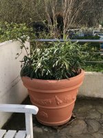 IMG_0585 2.jpeg