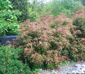 IMG_4060.jpeg