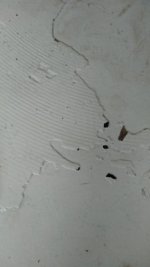 11eab001-2add-4374-ae25-777a29ea7eb3.JPG