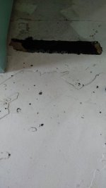 752c849a-0e8e-4e3b-9b1e-8209597005cc.JPG