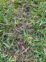 IMG_0563.jpg