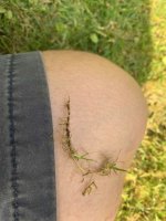 IMG_0573.jpg