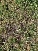 IMG_0575.jpg