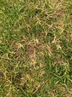 IMG_0678.jpg