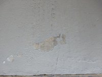 IMG_20181124_123245392.jpg