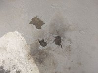 IMG_20181124_123257177.jpg
