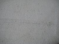 IMG_4442.jpg