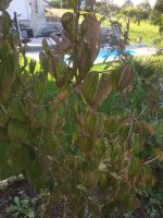 AD273F31-C17C-4019-830D-A36AF8B2BCD1.jpeg