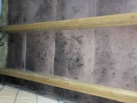 IMG_6526_neu.jpeg