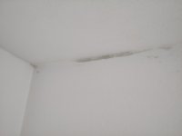 IMG_20230319_103731.jpg