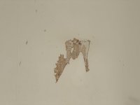 IMG_2097.jpeg