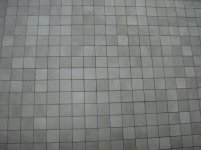 DSC00762.jpg